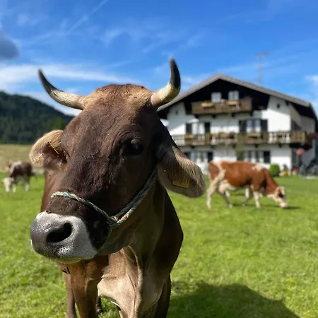 Hacklhof Apartamento Wallgau