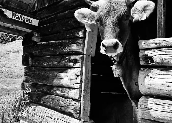 Апартаменты Hacklhof