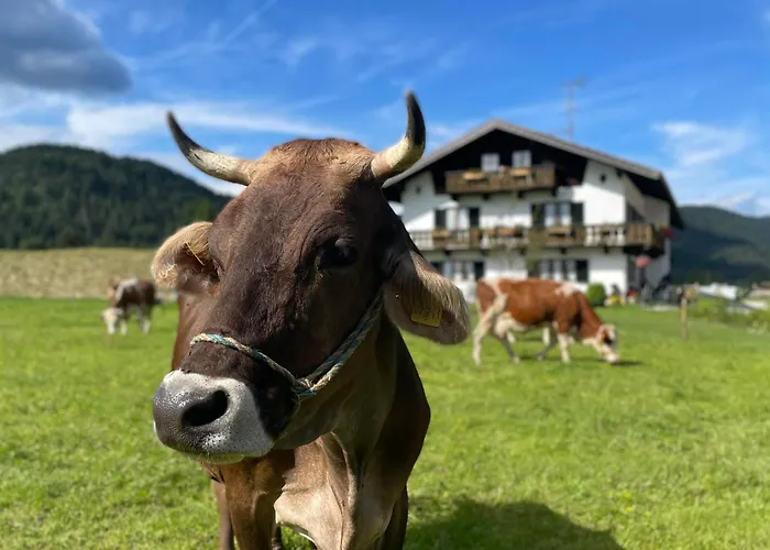 Hacklhof Апартаменты Вальгау