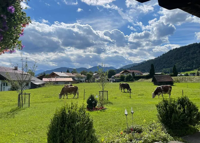 Апартаменты Hacklhof Вальгау