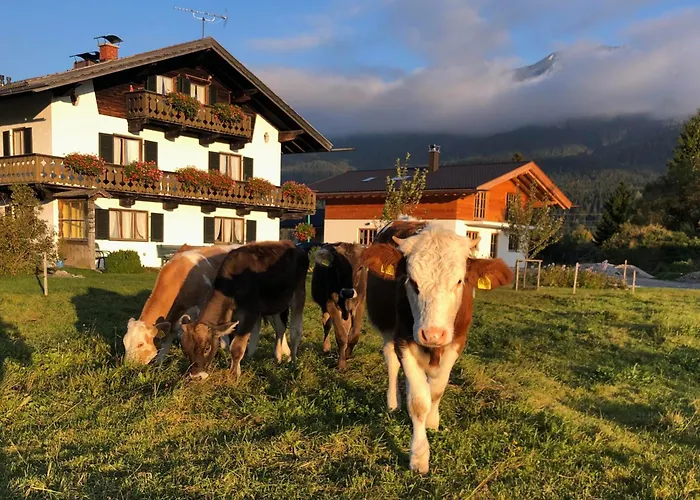 Hacklhof Вальгау